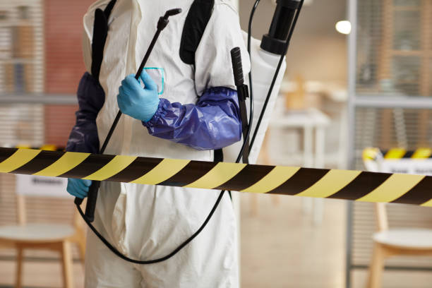 Professional Hoarding Cleanup technician working in West Orange, TX